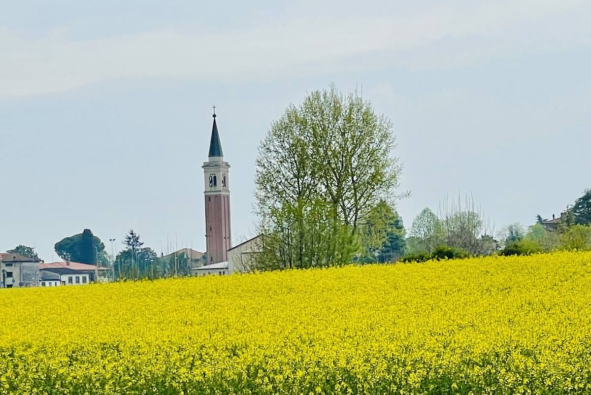 Parrocchia Santa Maria della Presentazione Puja