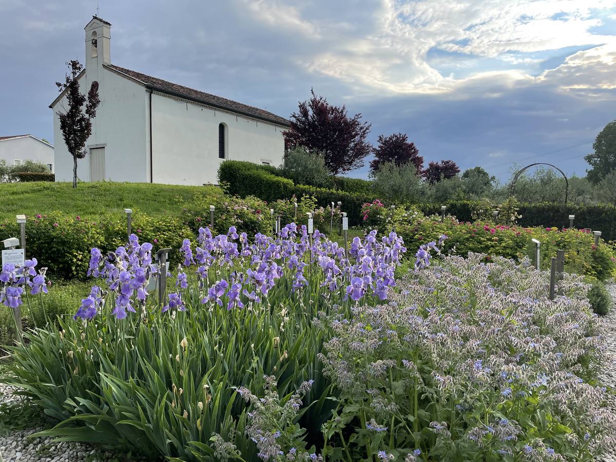 Chiesa dei Santi Simone e Giuda Taddeo