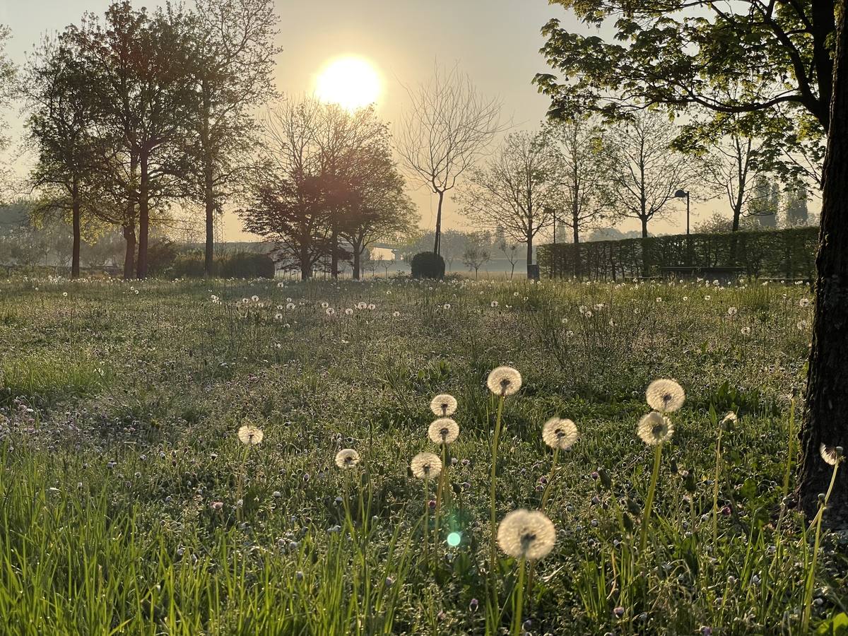 Alba al Giardino dei Semplici